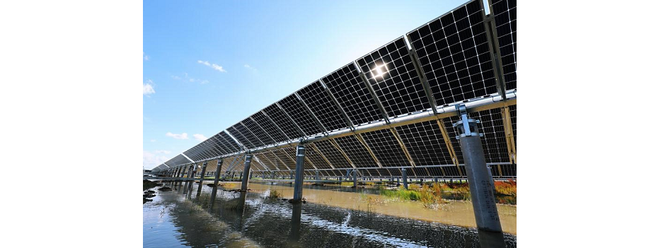 Bifacial Solar Panels Lose Protection From Section 201
