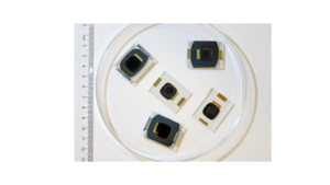 Important Success For UNSW Perovskite Cells