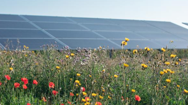 Solar Park To Turn Lowlands Into Wetlands In Denmark