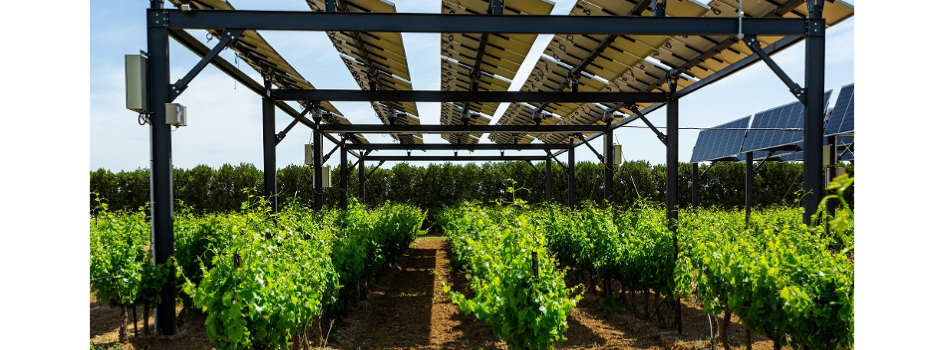 €1 Billion To Be Mobilized For Agrivoltaics In France