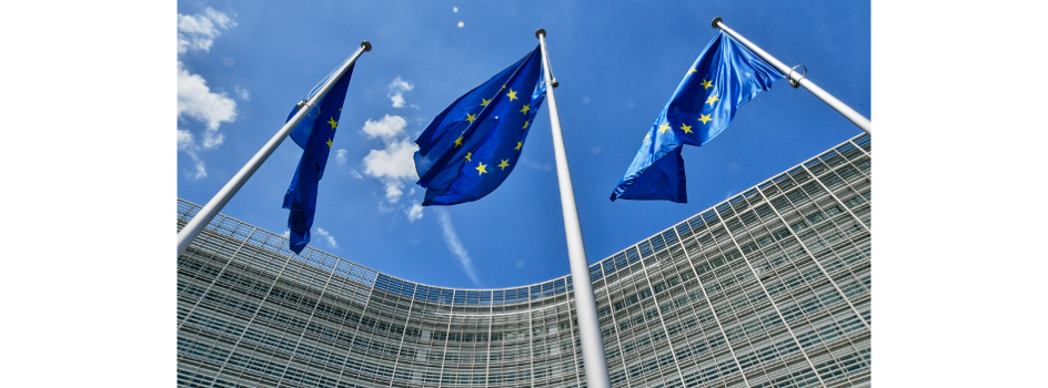 European Commission Clears €30.5 Billion French RE Scheme