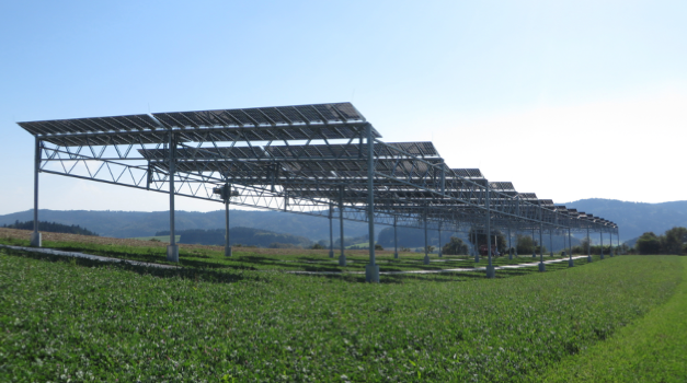 Fraunhofer ISE Issues Guidelines For Agrivoltaics