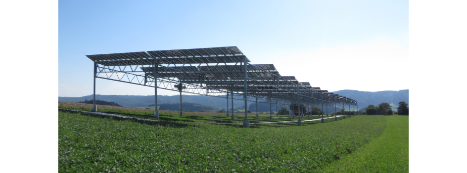 Fraunhofer ISE Issues Guidelines For Agrivoltaics