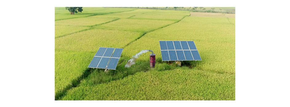 India PV News Snippets: ReNew, GSECL, AEML, MNRE