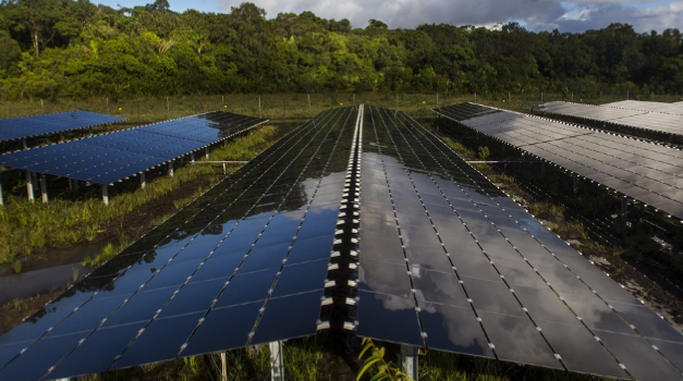 EDF Enters Floating Solar Space With 20 MW Project