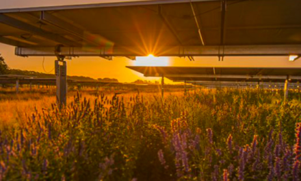 Enel Green Power Sees Potential In Agrivoltaics