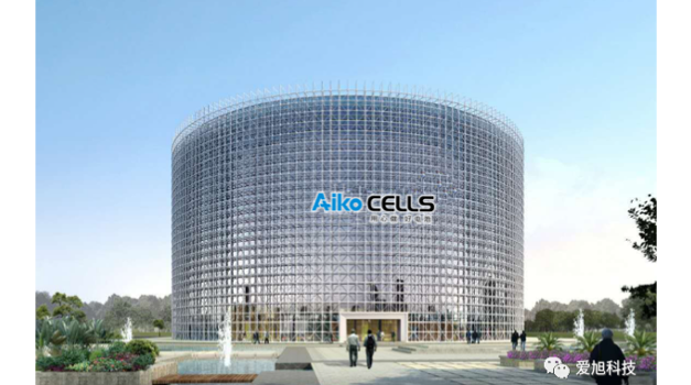 Aiko Solar Expects To Incur Loss In H1/2021