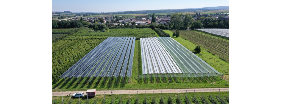 Carbon Neutral Orcharding in Germany
