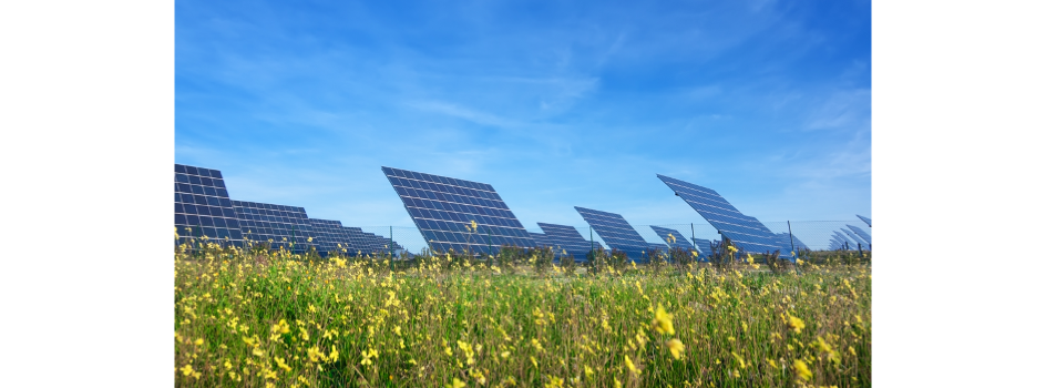New Europe Focused Renewables Company