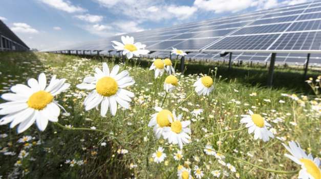 PPA For Germany’s ‘Largest’ Solar Farm