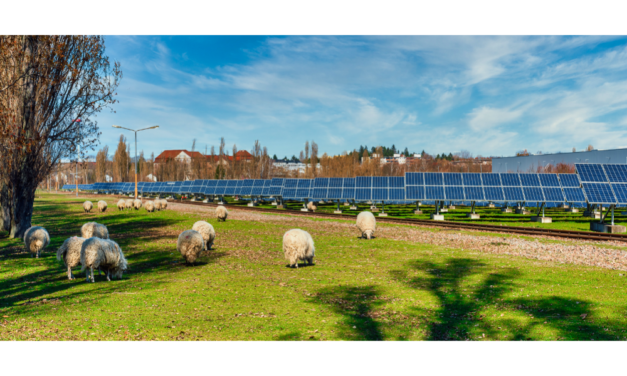 ScottishPower Acquires 800 MW Solar In UK