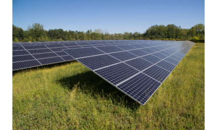 SunPower Finds Buyer For CIS Business