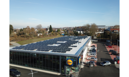 Schwarz Group Aims For 700 MW Solar
