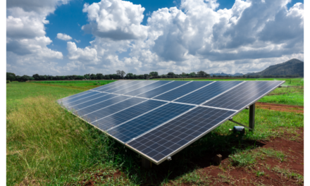 10 MW Solar Plant Getting Ready In Zimbabwe