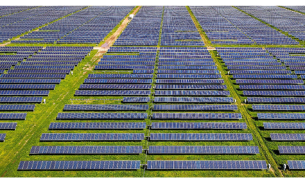 Borrego To Sell 8.4 GW+ Strong PV Project Pipeline