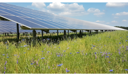800 MW Solar In Germany Changes Hands