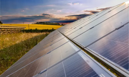 EOI To Research Biodiversity Of Solar Farms