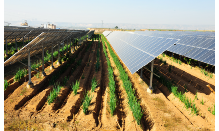 Italy’s €1.2 Million Agrivoltaic Scheme Approved