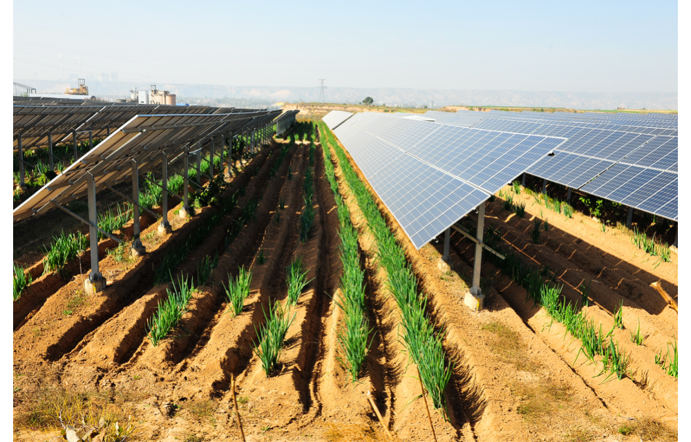 Italy’s €1.2 Million Agrivoltaic Scheme Approved