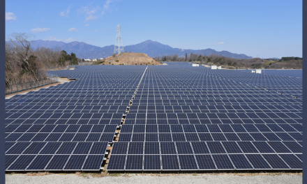 Palen Solar Project In California Operational Now