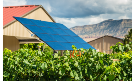 Turkey Facilitates Solar For Irrigation Systems