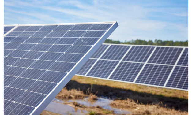 RWE Expands Into Polish Solar Market Via Acquisition