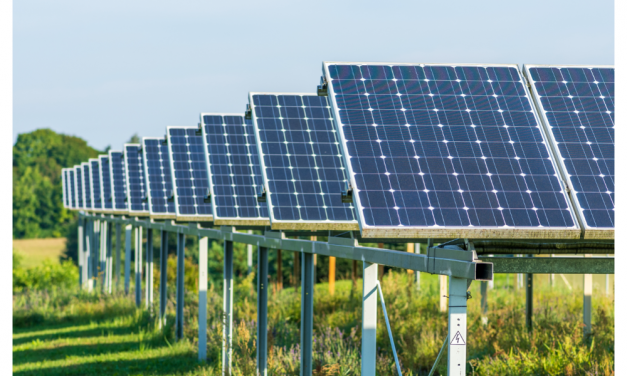 British Company Planning Agri PV & Storage Project In Italy
