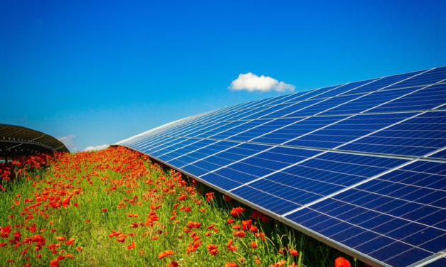 Digital Platform for Investments in Large Solar Plants