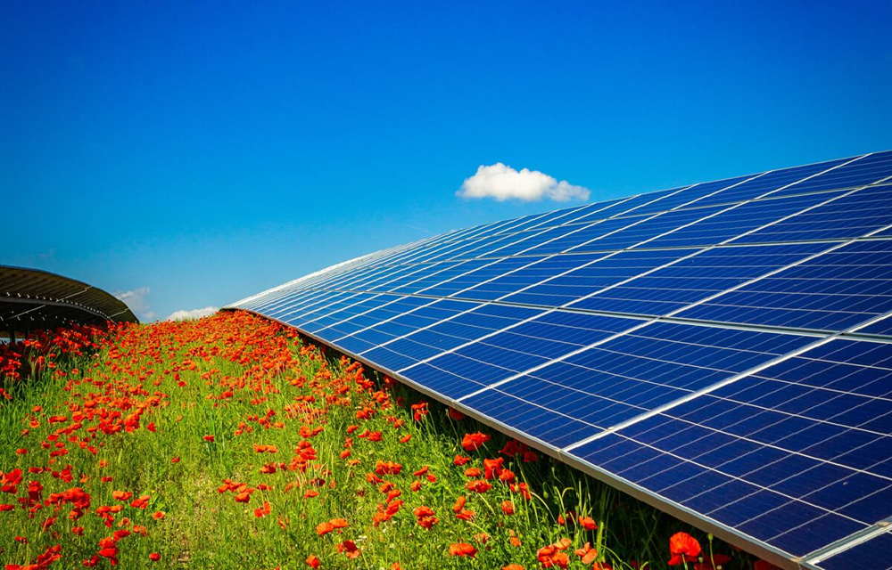Digital Platform for Investments in Large Solar Plants