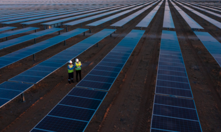PPAs Signed For ‘Largest’ Solar Power Plant In Middle East