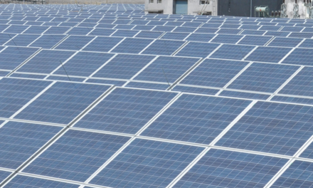NTPC Seeking Solar Modules For 325 MW MP PV Projects
