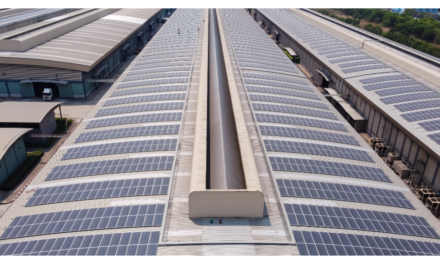 UAE Clears Law To Grid Connect Distributed Renewable Energy