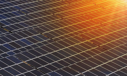 Brazil Exceeds 22 GW Solar PV Capacity Milestone