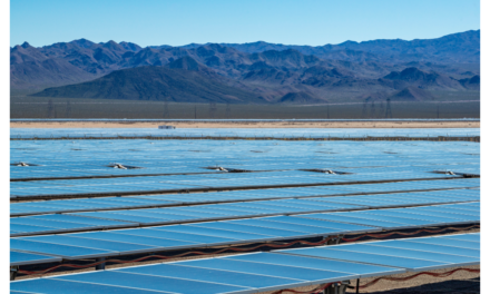 Consultation For 700 MW AC Solar Power Plant In Nevada