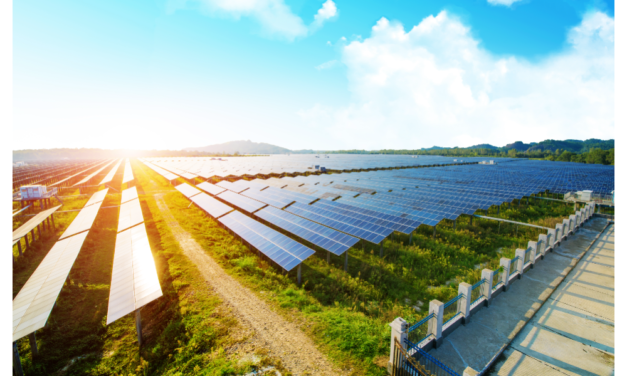 New Zealand Accelerating Solar Projects