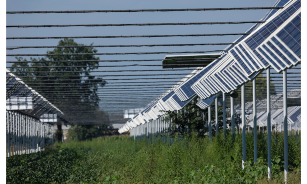 Italy Raising Renewable Energy Ambition