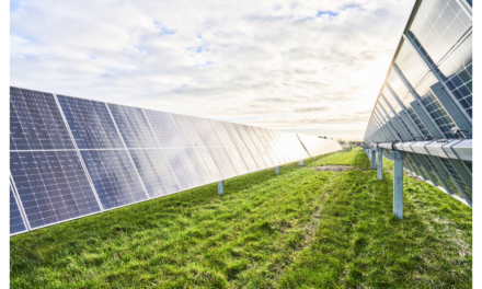 ‘Biggest’ Solar PV Farm Built To Date In Baltics