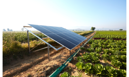 Austrian Study On Solar Powered Irrigation