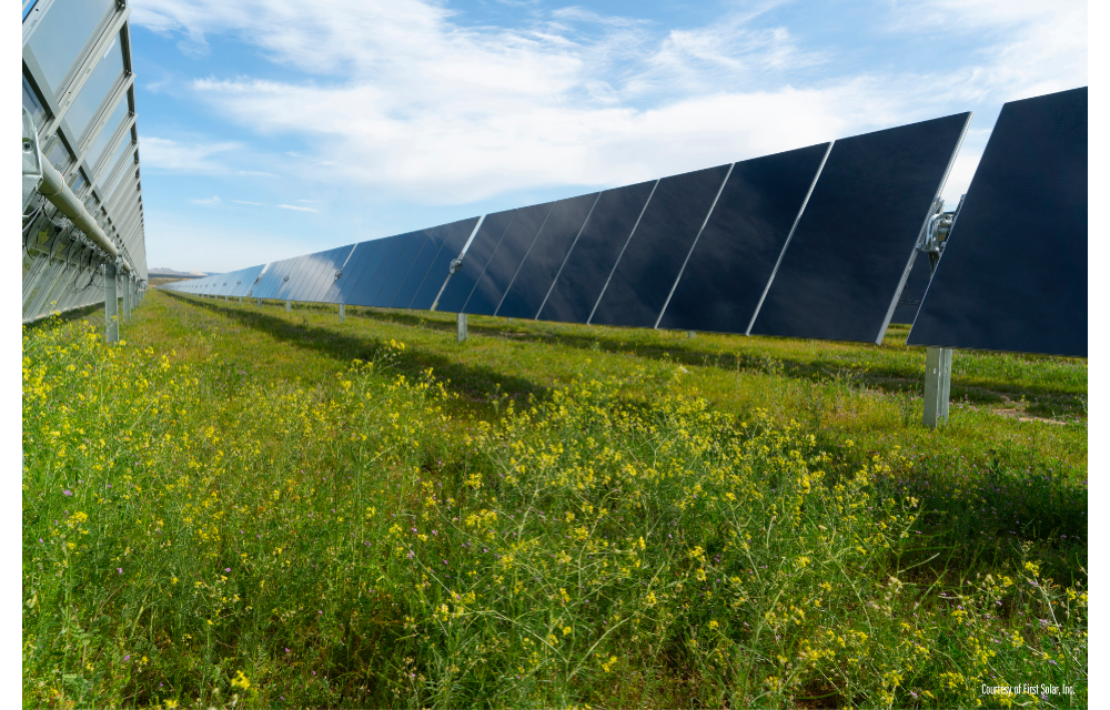 US CdTe Solar Manufacturers Decide To Bury The Hatchet