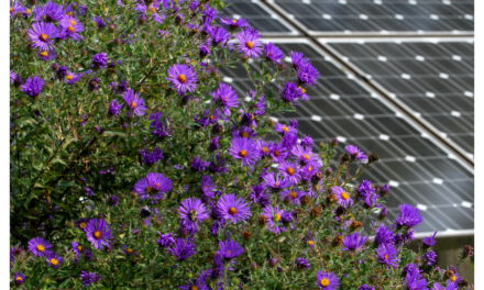 Danish Energy Company Expands To UK Solar Market