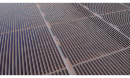 Bidders Sought For Abu Dhabi Solar PV Plant