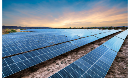 Latin American Company Switches On 600 MW Solar
