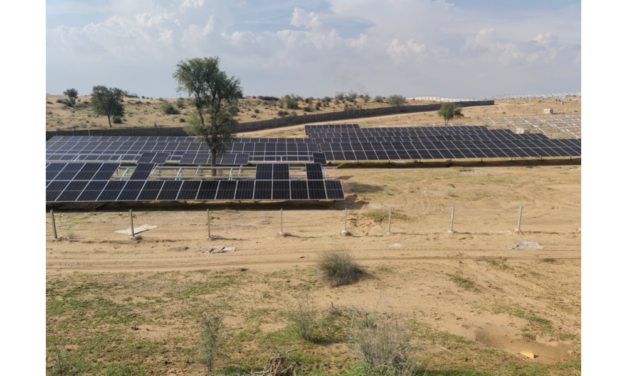 Indian Public Agencies Launch Renewable Energy Tenders
