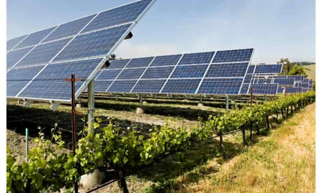 70 MW Agrivoltaic Project Commissioned In Italy