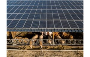 Crédit Agricole & Tenergie Launch Solar PV Joint Ventures