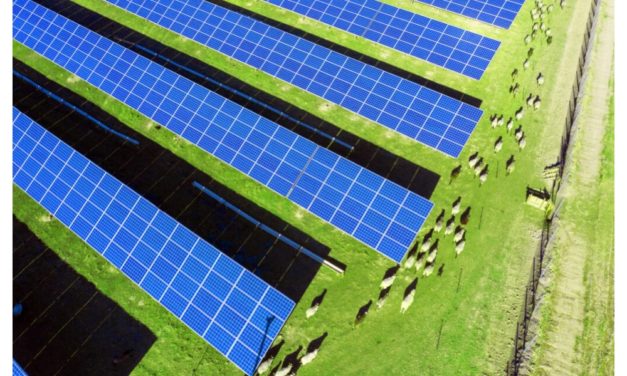 150 MW AC Tipped To Be New Zealand’s Largest Solar Farm