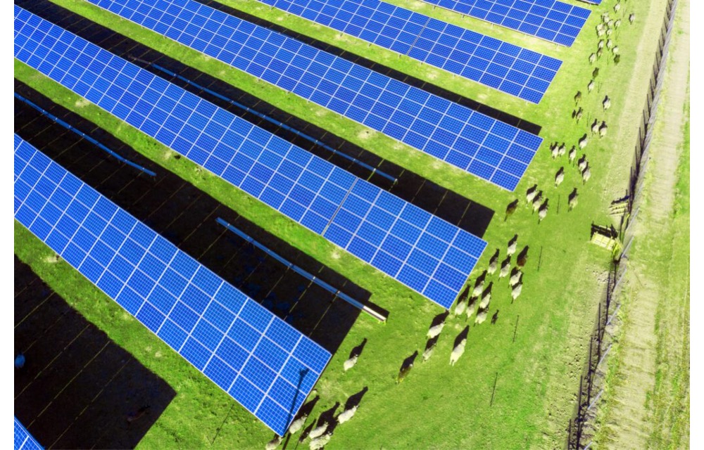 150 MW AC Tipped To Be New Zealand’s Largest Solar Farm