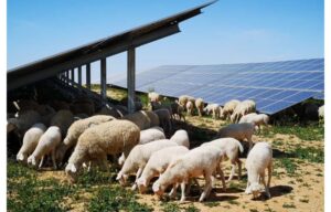 Spain’s ‘1st’ Hybrid PV & Hydroelectric Power Plant