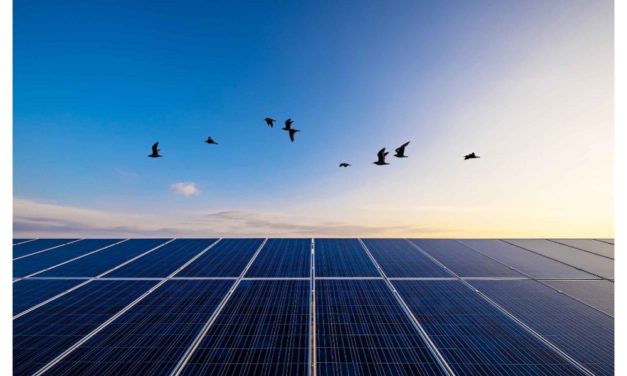 Greek Firm Raises Finance For Solar & Storage Portfolio