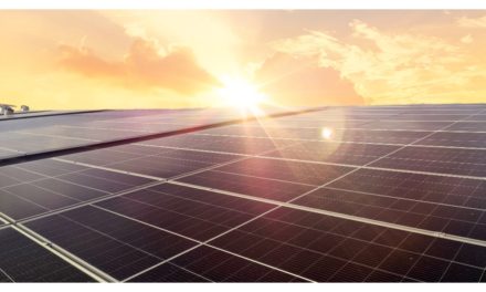 World’s ‘Largest’ Solar Project Under Construction